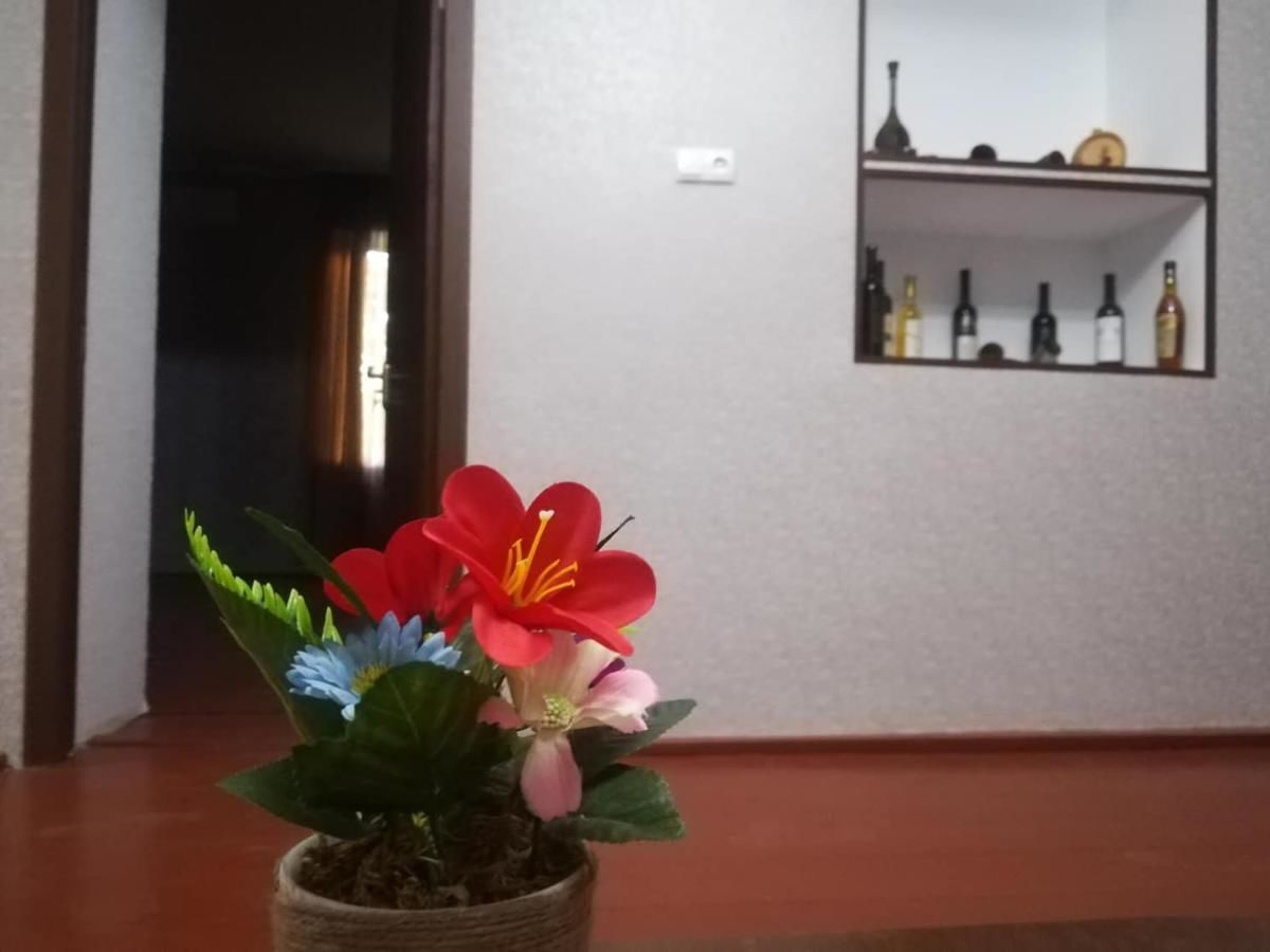 Гостевой дом Cozy House Akhasheni